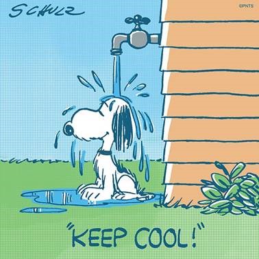 Keep cool klein