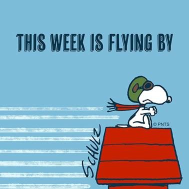 This week is flying by klein